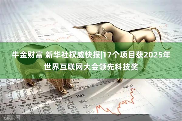 牛金财富 新华社权威快报|17个项目获2025年世界互联网大会领先科技奖