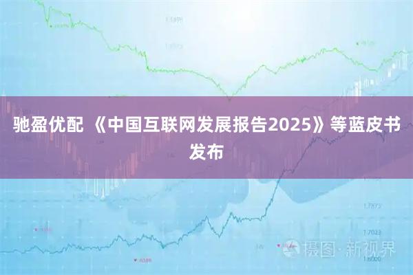 驰盈优配 《中国互联网发展报告2025》等蓝皮书发布