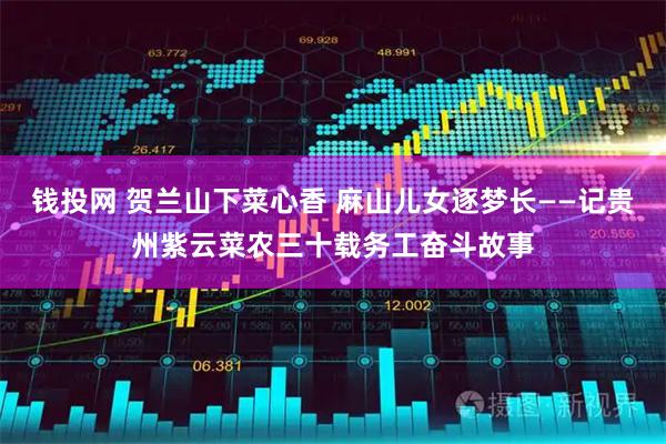 钱投网 贺兰山下菜心香 麻山儿女逐梦长——记贵州紫云菜农三十载务工奋斗故事