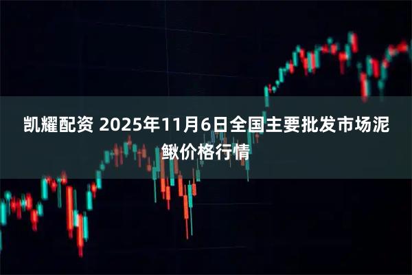 凯耀配资 2025年11月6日全国主要批发市场泥鳅价格行情